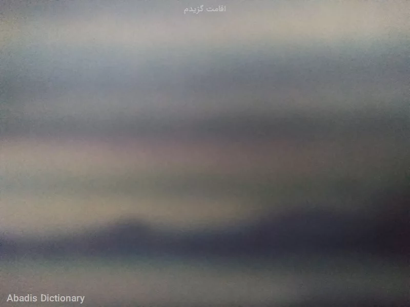 اقامت گزیدم